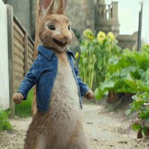 The Runaway James Corden Peter Rabbit Blue Denim Jacket